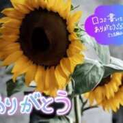 ヒメ日記 2025/08/22 09:00 投稿 原田麗子 五十路マダム姫路店
