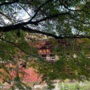 ヒメ日記 2025/11/17 16:42 投稿 原田麗子 五十路マダム姫路店