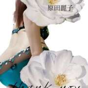 ヒメ日記 2025/11/18 13:52 投稿 原田麗子 五十路マダム姫路店