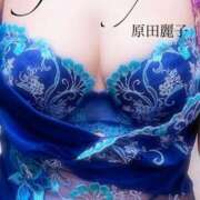 ヒメ日記 2025/11/20 10:16 投稿 原田麗子 五十路マダム姫路店