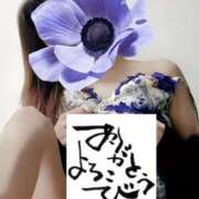 ヒメ日記 2025/12/25 07:06 投稿 原田麗子 五十路マダム姫路店