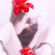 ヒメ日記 2026/01/26 17:50 投稿 原田麗子 五十路マダム姫路店