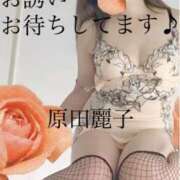 原田麗子 原田麗子です♪ 五十路マダム姫路店