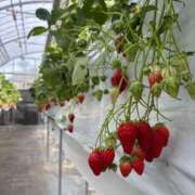 ヒメ日記 2025/05/08 21:47 投稿 りあ 逢って30秒で即尺