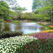 ヒメ日記 2024/12/09 15:14 投稿 こゆき 熟女の風俗最終章 新潟店