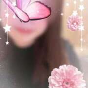 ヒメ日記 2025/07/07 11:05 投稿 ふうか 奥様鉄道69 東京店