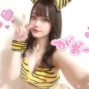 ヒメ日記 2026/04/14 02:56 投稿 まな シャブール