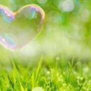 ヒメ日記 2025/05/08 13:35 投稿 つぼみ 熟女の風俗最終章 蒲田店