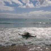 ヒメ日記 2025/07/18 18:20 投稿 つぼみ 熟女の風俗最終章 蒲田店