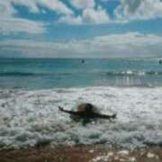 つぼみ 出勤 熟女の風俗最終章 蒲田店