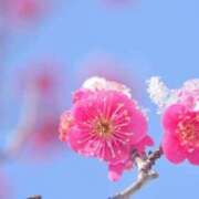 ヒメ日記 2026/01/04 16:06 投稿 つぼみ 熟女の風俗最終章 蒲田店