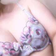 ヒメ日記 2025/04/08 16:21 投稿 らいか 熟女家 豊中蛍池店