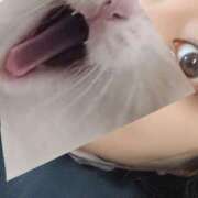 ヒメ日記 2025/06/19 12:54 投稿 みか 梅田アバンチュール