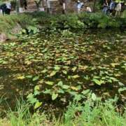 ヒメ日記 2025/07/05 12:10 投稿 みか 梅田アバンチュール