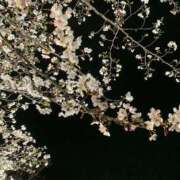 ヒメ日記 2025/07/29 17:29 投稿 みか 梅田アバンチュール