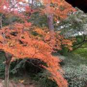 ヒメ日記 2025/08/03 08:43 投稿 みか 梅田アバンチュール