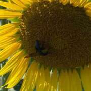 ヒメ日記 2025/08/13 14:54 投稿 みか 梅田アバンチュール