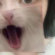 ヒメ日記 2025/08/19 10:48 投稿 みか 梅田アバンチュール