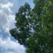 ヒメ日記 2025/08/30 13:06 投稿 みか 梅田アバンチュール