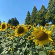 ヒメ日記 2025/09/16 06:51 投稿 みか 梅田アバンチュール