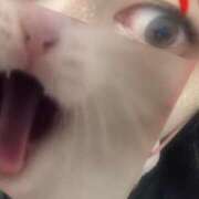 ヒメ日記 2025/09/17 13:41 投稿 みか 梅田アバンチュール