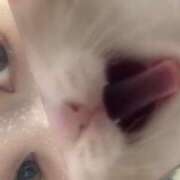 ヒメ日記 2025/09/26 16:33 投稿 みか 梅田アバンチュール