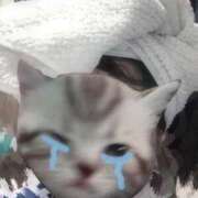 ヒメ日記 2025/09/27 06:42 投稿 みか 梅田アバンチュール