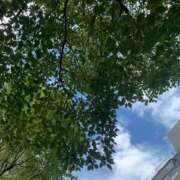 ヒメ日記 2025/09/27 10:15 投稿 みか 梅田アバンチュール