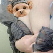 ヒメ日記 2025/10/10 10:28 投稿 みか 梅田アバンチュール