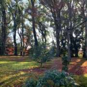 ヒメ日記 2025/10/10 15:06 投稿 みか 梅田アバンチュール