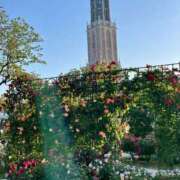 ヒメ日記 2025/04/26 22:15 投稿 宮野しほ 五反田 必要以上のエステ（シンデレラグループ）