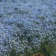 ヒメ日記 2025/06/06 04:48 投稿 宮野しほ 五反田 必要以上のエステ（シンデレラグループ）