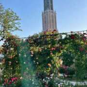 ヒメ日記 2025/07/04 04:14 投稿 宮野しほ 五反田 必要以上のエステ（シンデレラグループ）