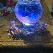 ヒメ日記 2025/07/11 19:56 投稿 宮野しほ 五反田 必要以上のエステ（シンデレラグループ）