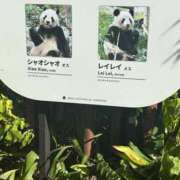 ヒメ日記 2025/08/25 15:14 投稿 宮野しほ 五反田 必要以上のエステ（シンデレラグループ）