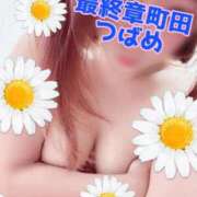 ヒメ日記 2026/09/12 17:07 投稿 つばめ 熟女の風俗最終章 町田店