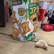 ヒメ日記 2026/06/15 06:15 投稿 しあ One More奥様　横浜関内店