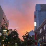 ヒメ日記 2026/06/17 08:40 投稿 しあ One More奥様　横浜関内店