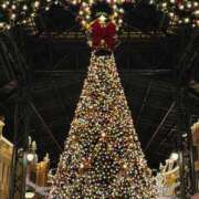 ヒメ日記 2024/12/24 11:33 投稿 かな モアグループ川越人妻花壇