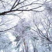 ヒメ日記 2025/03/19 09:46 投稿 かな モアグループ川越人妻花壇