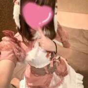 ヒメ日記 2024/12/21 17:24 投稿 いぶき Picasso(ピカソ)