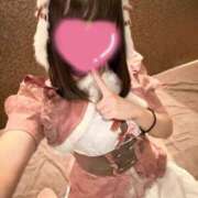 ヒメ日記 2025/02/24 21:16 投稿 いぶき Picasso(ピカソ)