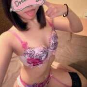 ヒメ日記 2025/02/25 16:17 投稿 いぶき Picasso(ピカソ)