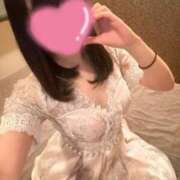 ヒメ日記 2025/02/28 13:06 投稿 いぶき Picasso(ピカソ)