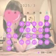 ヒメ日記 2025/03/01 14:17 投稿 いぶき Picasso(ピカソ)