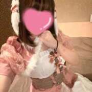 ヒメ日記 2025/03/05 16:36 投稿 いぶき Picasso(ピカソ)