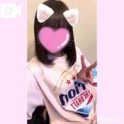 ヒメ日記 2025/03/24 10:34 投稿 いぶき Picasso(ピカソ)