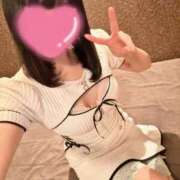 ヒメ日記 2025/03/25 09:28 投稿 いぶき Picasso(ピカソ)