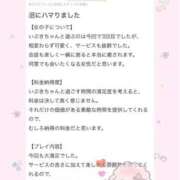 ヒメ日記 2025/04/01 14:47 投稿 いぶき Picasso(ピカソ)