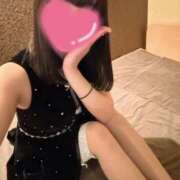 ヒメ日記 2025/04/19 16:17 投稿 いぶき Picasso(ピカソ)